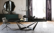  Skorpio. Cattelan, .         .     