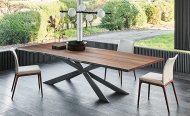  Spyder.  Cattelan, .        ,   .  