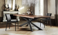  Spyder.  Cattelan, .        ,   .  