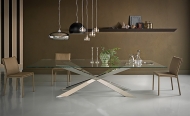  Spyder.  Cattelan, .        ,   .  