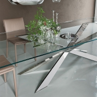  Spyder.  Cattelan, .        ,   .  