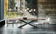  Spyder.  Cattelan, .        ,   .  