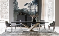  Stratos.  Cattelan, .        ,   .  