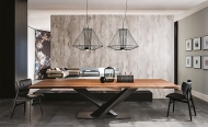  Stratos.  Cattelan, .        ,   .  