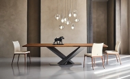  Stratos.  Cattelan, .        ,   .  