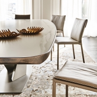  Stratos.  Cattelan, .        ,   .  