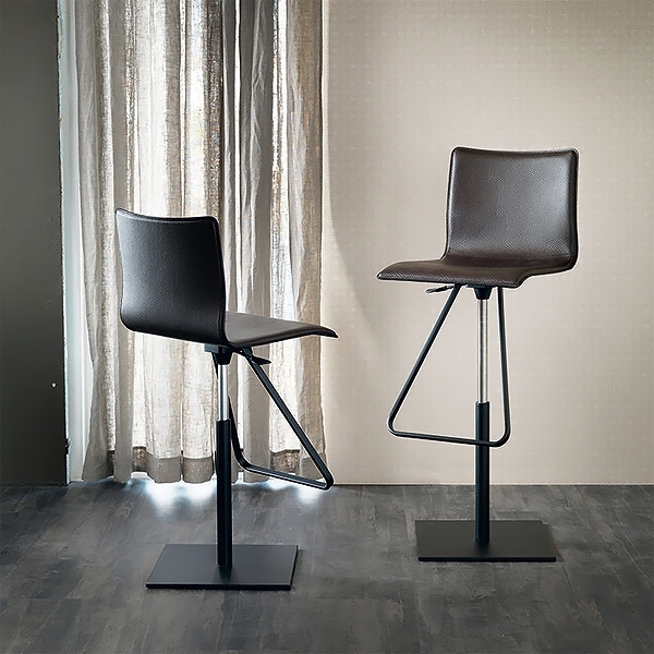 Toto, Cattelan.       ,    ,   .