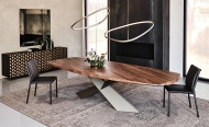  Tyron.  Cattelan, .            . 