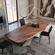  Tyron.  Cattelan, .            . 