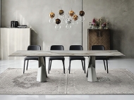 M Wilma.  Cattelan, . ,    .      - 