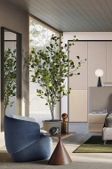  Golf 03/04 - Colombini, .      .   , , 