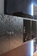  Delichon DH10.  Compab, .        -  , 
