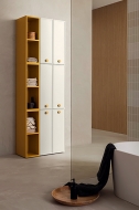  Picta 5.  Compab, .      -  ,  , 