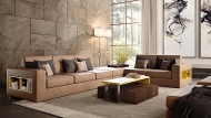  Theca,  Concept, .     .   ,  