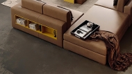  Theca,  Concept, .     .   ,  