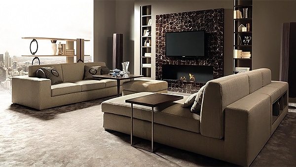  Theca,  Concept, .     .   ,  