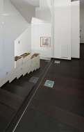  Classic Wenge.  CP Parquet, .          - 