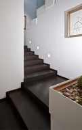  Classic Wenge.  CP Parquet, .          - 