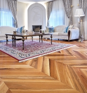  Hungarian Plug.  CP Parquet, .         -  