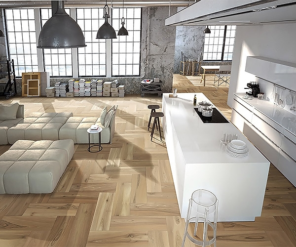 Modulo, CP Parquet.     -        .