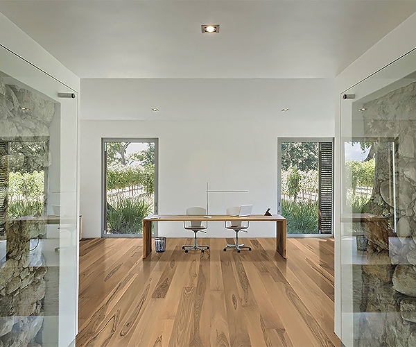 Nature, CP Parquet.     - , ,    ,   .