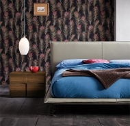  Space. Dall'Agnese, .      -  , , , , 