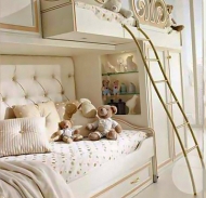  Happy Night 403.  Ferretti e Ferretti, .       -  