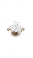  Fiore,  Il Paralume Marina, .    .    , , 