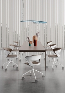  Kicca.  Kastel, .    .     - , 