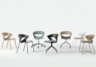  Kicca.  Kastel, .    .     - , 