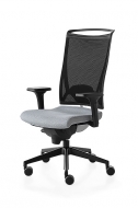  Korium.  Kastel, .    .     - , 