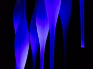 Beta,  Melogranoblu, .    .     - 