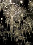  Datura,  Melogranoblu, .    .      - 