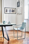  Apelle.  Midj, .     .      - 