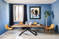  Apelle.  Midj, .     .      - 