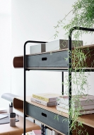  Apelle.  Midj, .   .     , , 