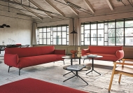  Area.  - Midj, .    -  , , , , , 