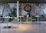 ����� Composit. ������������ Midj, ������. �������� ���������� ���� �� ���������. �������� ���������� ���������� �� ��������� � 