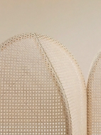  Colony.  Miniforms, .   .         
