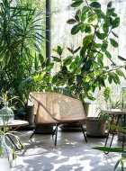 Colony.  Miniforms, .   .     - , , 