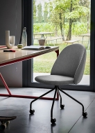  Iola.  Miniforms, .    .      - 