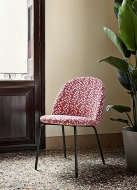  Iola.  Miniforms, .    .      - 