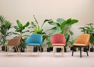  Iola.  Miniforms, .    .      - 