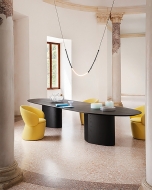  Monoplauto. Miniforms, .        ,   .   