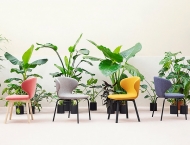  Mula.  Miniforms, .    .      - 
