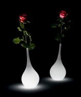  Ampoule,  Myyour, .    .     -  