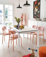  Cozy,  Connubia, .    .      - ,