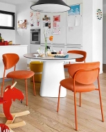  Cozy,  Connubia, .    .      - ,