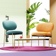  Blume.  Pedrali, .      - , ,     