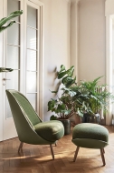  Calatea.  Pianca, .   .      - , , 